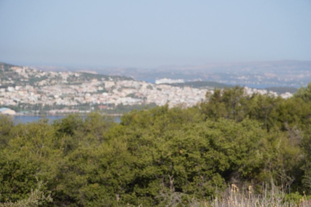 In the cyclopean walls